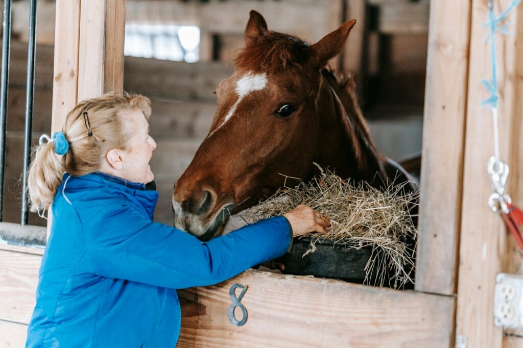 Paardenstallen